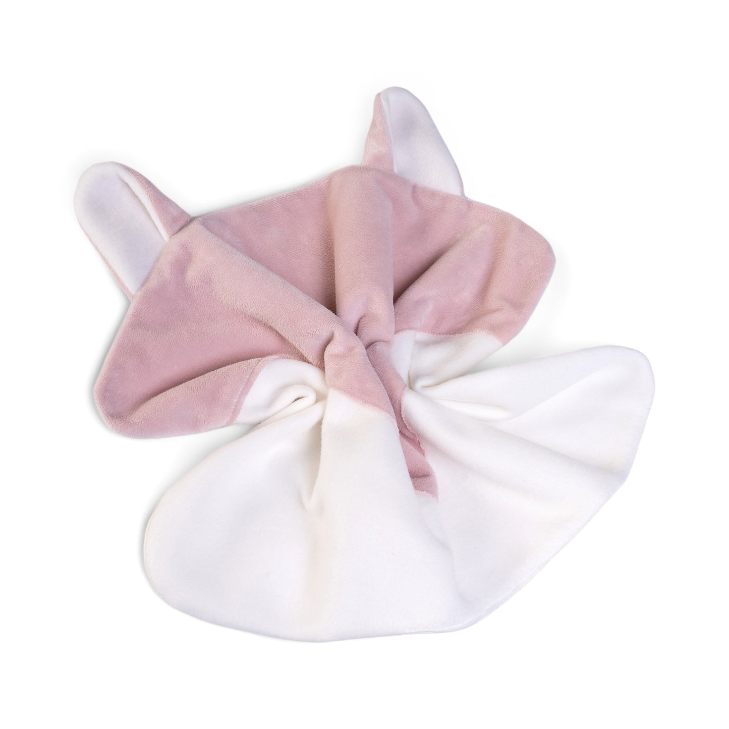 Petit manta zorrito